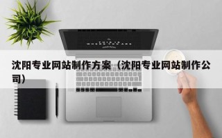 大连沈阳专业网站制作方案（沈阳专业网站制作公司）